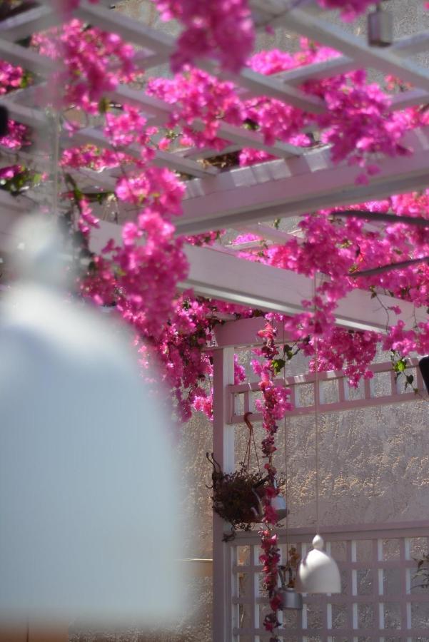 Villa Iokasti Hersonissos  Bagian luar foto